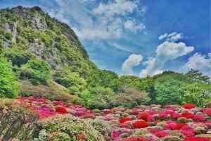 御船山楽園【春　つつじ】